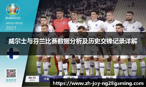 威尔士与芬兰比赛数据分析及历史交锋记录详解