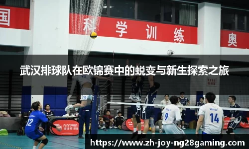 武汉排球队在欧锦赛中的蜕变与新生探索之旅