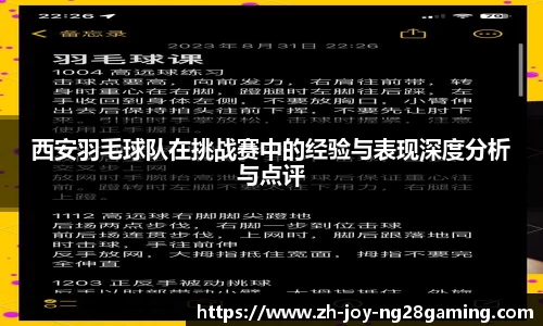 西安羽毛球队在挑战赛中的经验与表现深度分析与点评